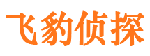 洛阳找人公司